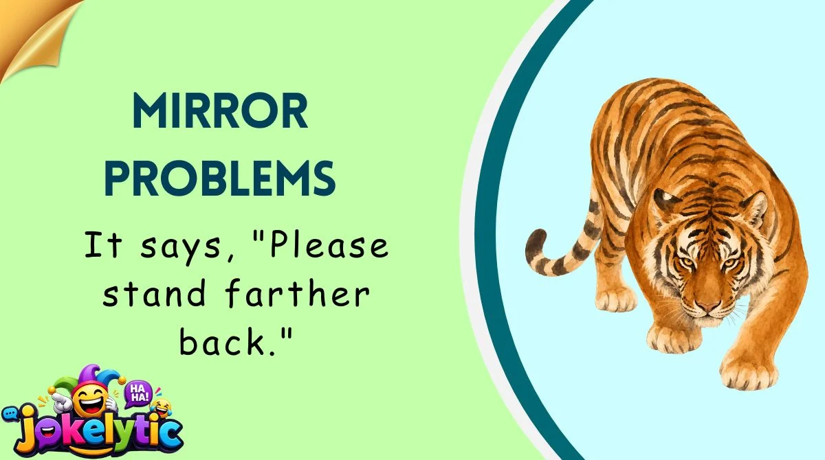 Mirror Problems