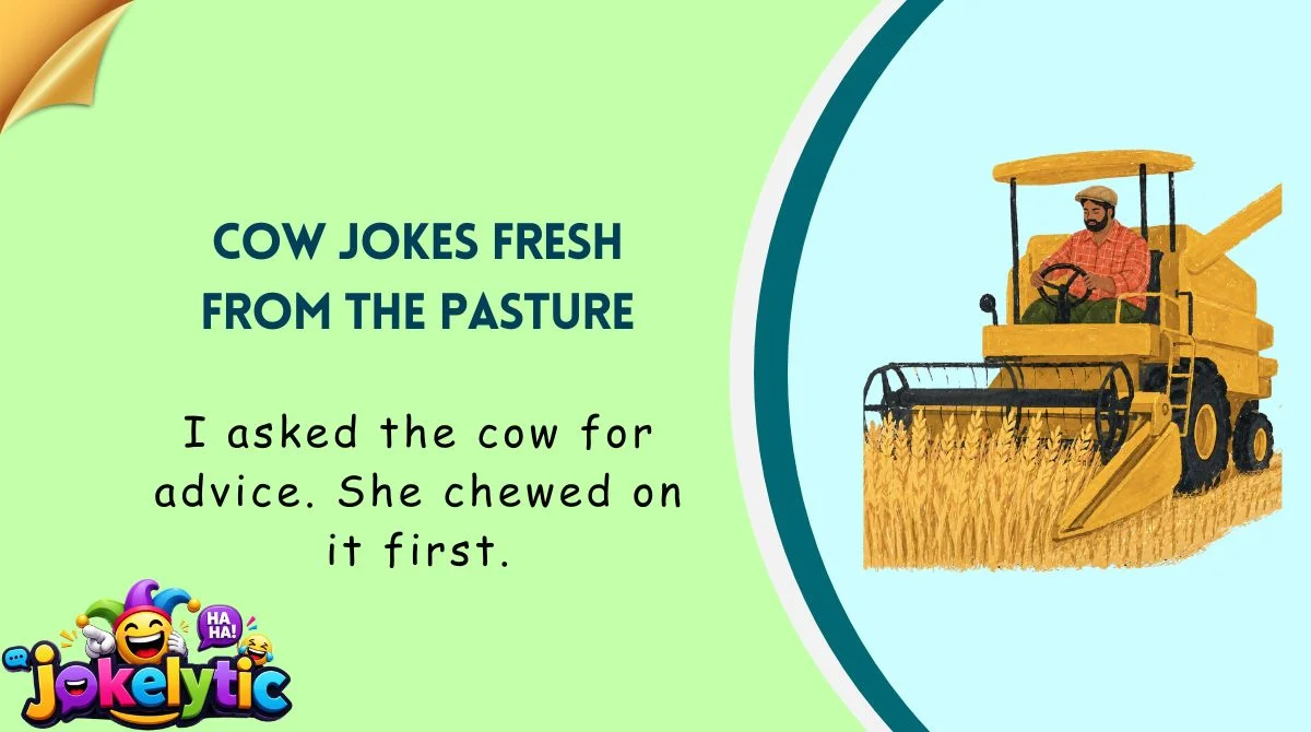 Cow Jokes Fresh From the Pasture