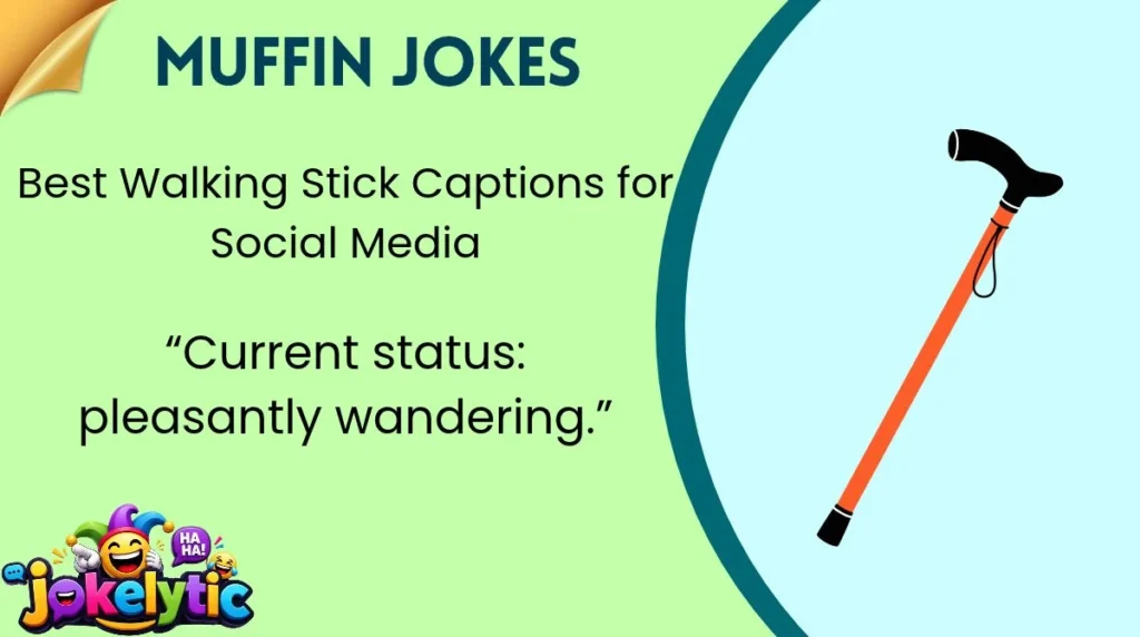 Best Walking Stick Captions for Social Media