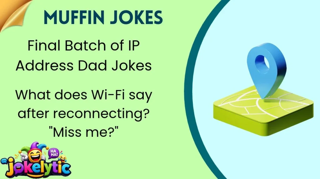 Final Batch of IP Address Dad Jokes