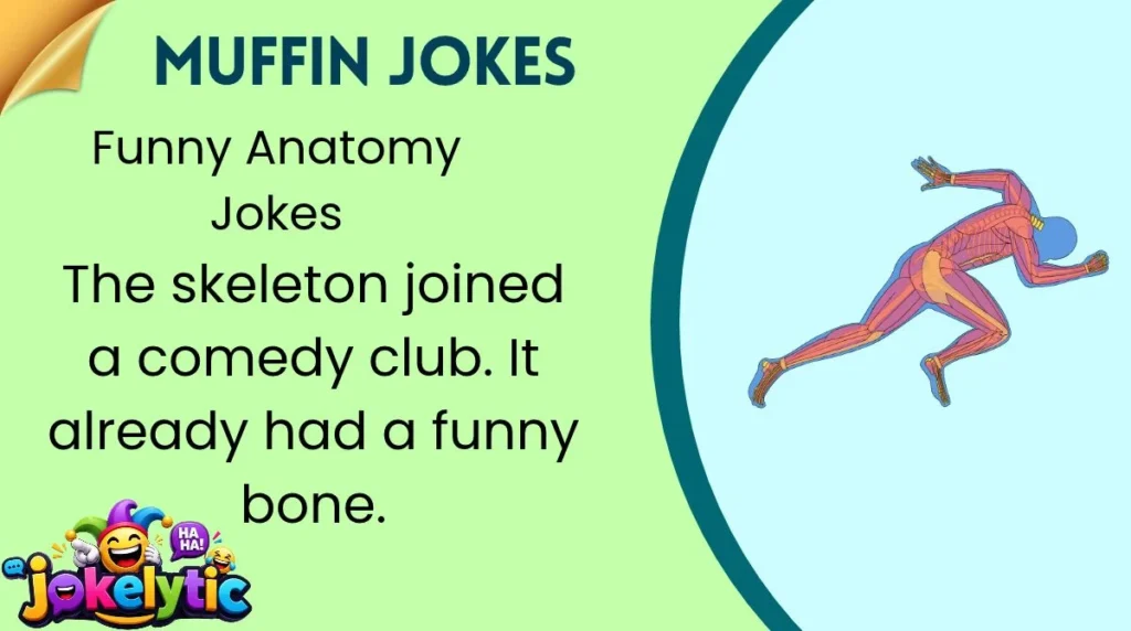 Funny Anatomy Jokes