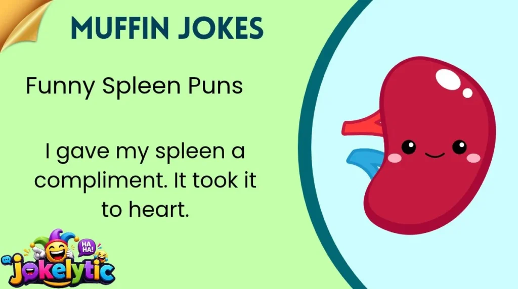 Funny Spleen Puns