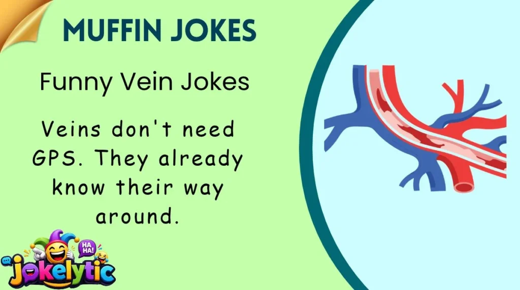 Funny Vein Jokes
